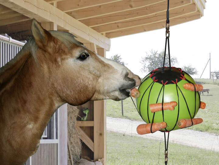KERBL Therapiespielball für Pferde